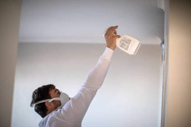 Best Toxic Mold Removal  in Kaibab Estates West, AZ