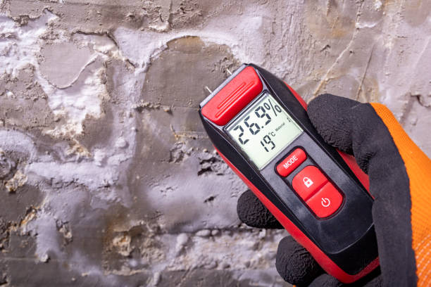 Best Toxic Mold Removal  in Kaibab Estates West, AZ